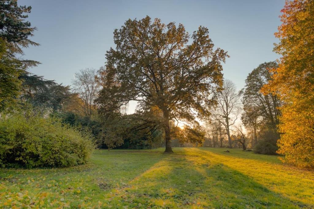 Ferienwohnung Studio "L'Ermitage" Proche Chateau Versailles Exterior foto
